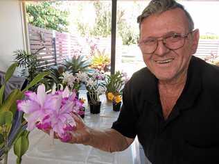 SHOWING OFF: Maryborough District Orchid Society treasurer Des Laurenceson with the orchids which will go on display from today. Picture: Boni Holmes