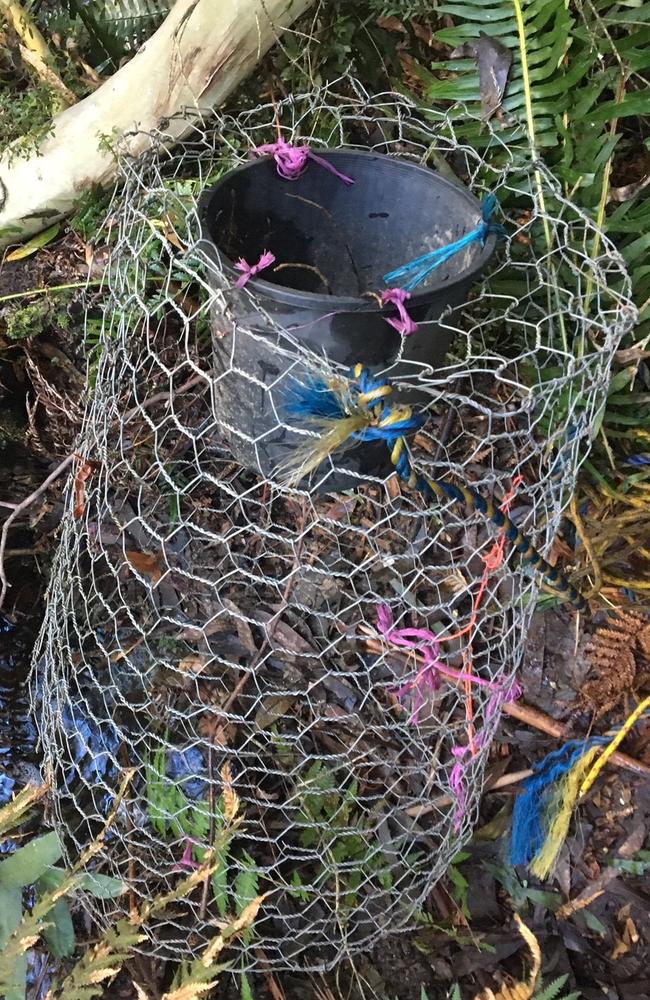 Water authorities are appealing to anglers to stop using illegal yabby nets like this one.