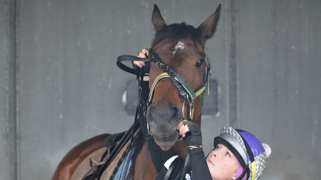 Trinity Bannon prepares Wild Gypsy Rose for some track work. Photo Troy Kippen/Daily Mercury.