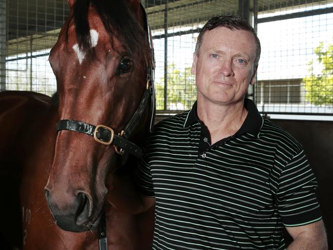 Trainer David Van Dyke with his first Sunshine Coast Runner Look to The Stars who will race at Caloundra on Saturday . Photo Lachie Millard