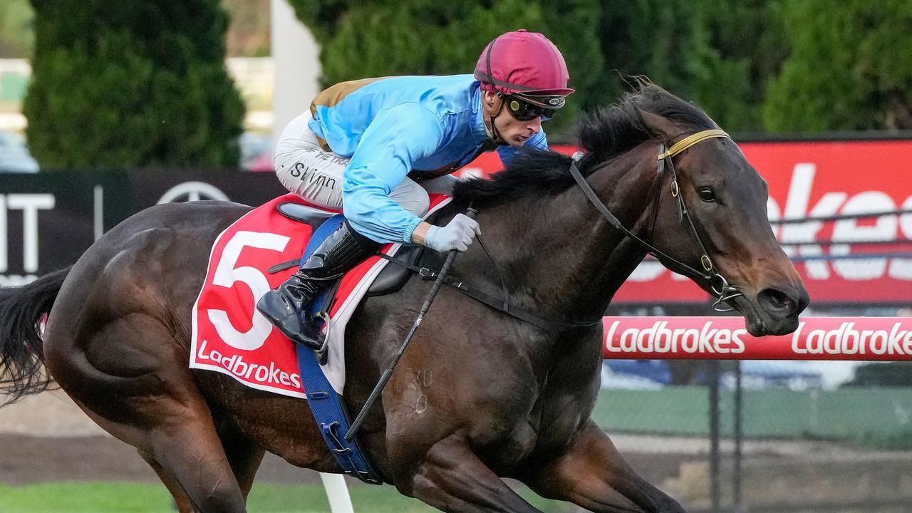 Apache Song cruises to victory last start. Picture: George Salpigtidis/Racing Photos via Getty Images