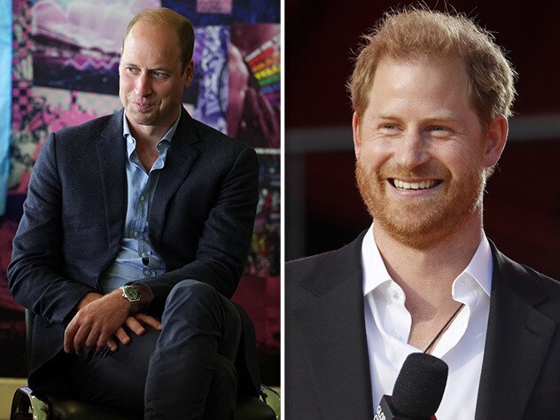 Battle of the TV princes: William and Harry’s new roles