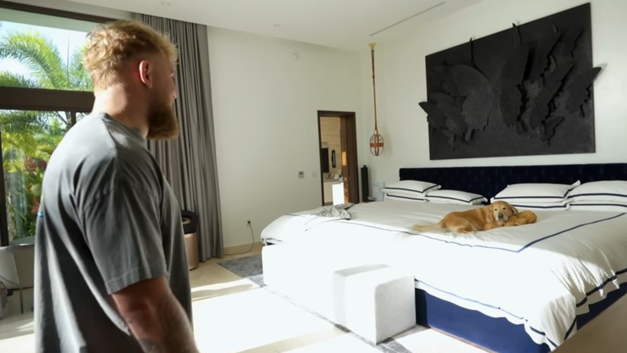 Jake Paul has a dog and a guard cat in Puerto Rico. Picture: YouTube.