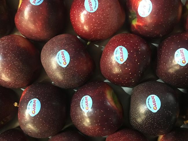 Bravo apples have uniquely burgundy-coloured skin. Researchers will now study their ability to help protect heart health.