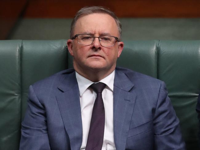 Anthony Albanese has been cited as a potential challenger to Bill Shorten.