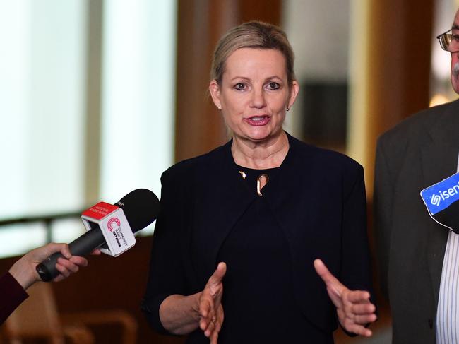 Federal Environment Minister Sussan Ley. Picture: Sam Mooy/Getty Images