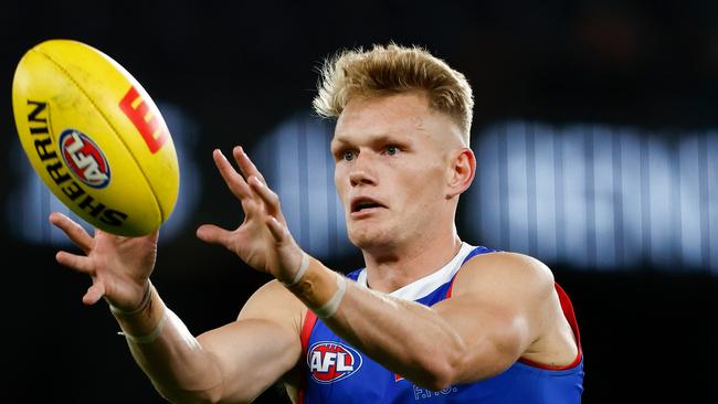 Adam Treloar of the Bulldogs (Photo by Michael Willson/AFL Photos via Getty Images)