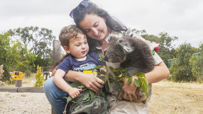 Dana Mitchell from the Kangaroo Island Wildlife Park with injured Koala Ash, 2, and son Connor, 2, in Parndana. Picture: Simon Cross