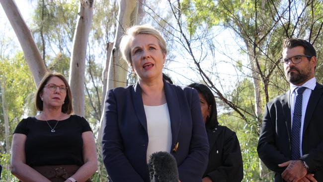 Tanya Plibersek told Insiders that Labor would insert equal pay as an ­object into the Fair Work Act. Picture: Lee Robinson