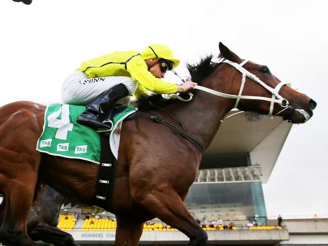 Rockolicious ridden by Blake Shinn (yellow silks) wins race 3 during midweek races at Rosehill Gardens, Sydney. pic Mark Evans