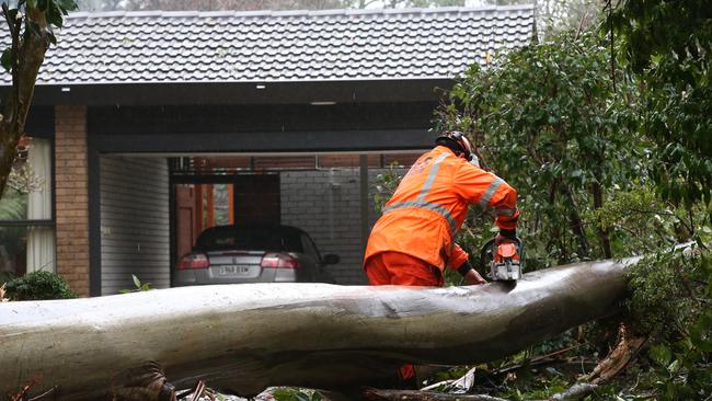 SES clear a fallen tree from a home on Ridge Rd, Mt Dandenong. Picture: David Crosling