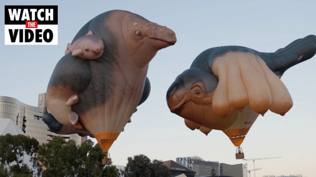 Skywhales rise over Adelaide