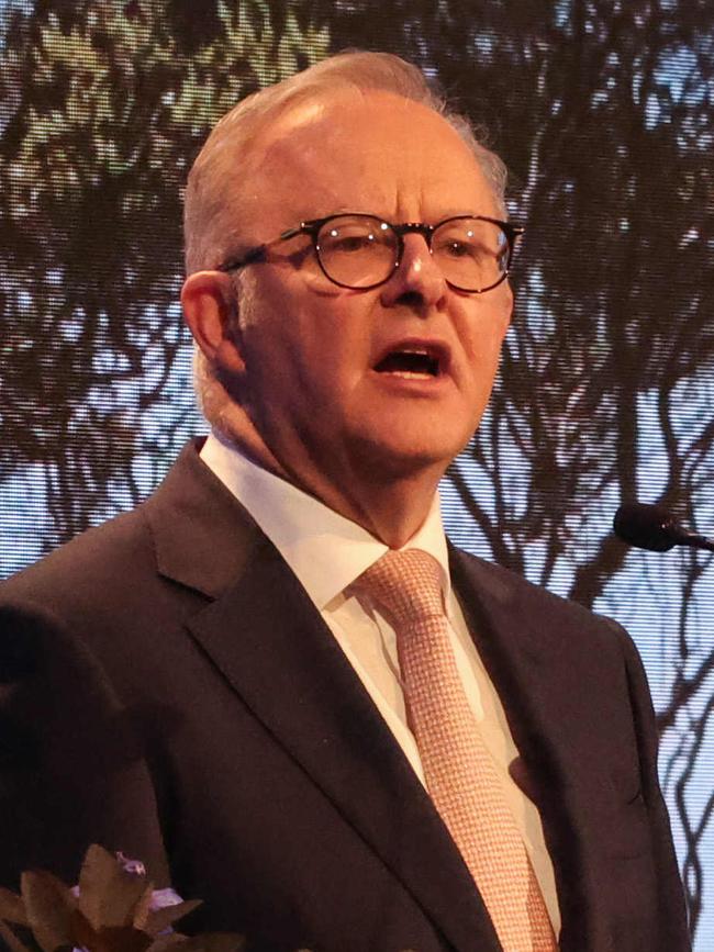 Anthony Albanese in Melbourne. Picture: David Caird
