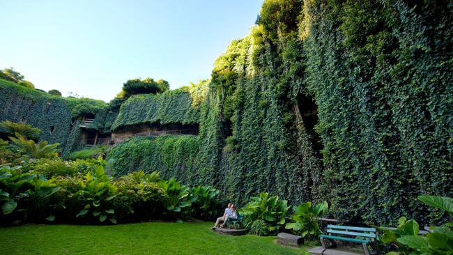 Umpherston Sinkhole in Mount Gambier. Picture: Adam Bruzzone