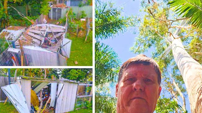 Neighbour Paul Grice says neighbours are also in fear of the massive gum tree dropping branches which could weigh more than 1 tonne. Pictures: The Courier-Mail