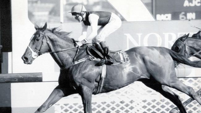 Champion racehorse Super Impose was a favourite of Luke Callen.