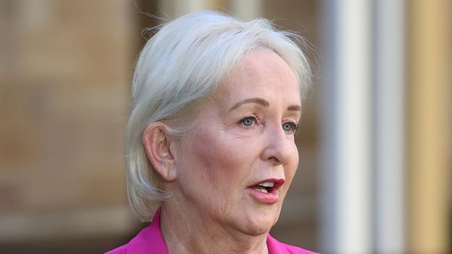 Shadow Health Minister Ros Bates during a news conference at State Parliament, Brisbane. Picture: Liam Kidston.