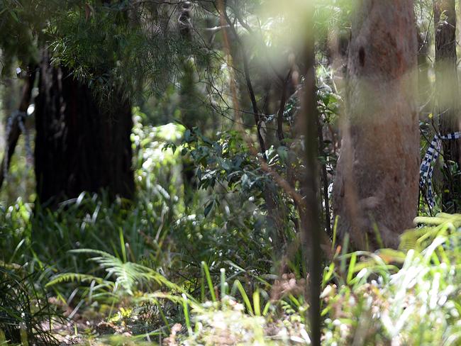 Police Scene in the bushland at Royal National Park where the body of Matthew Leveson police believe the body remains,. Photo Jeremy Piper