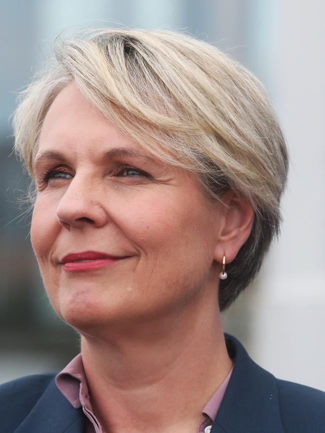 Federal Environment Minister Tanya Plibersek. Picture: Nikki Davis-Jones