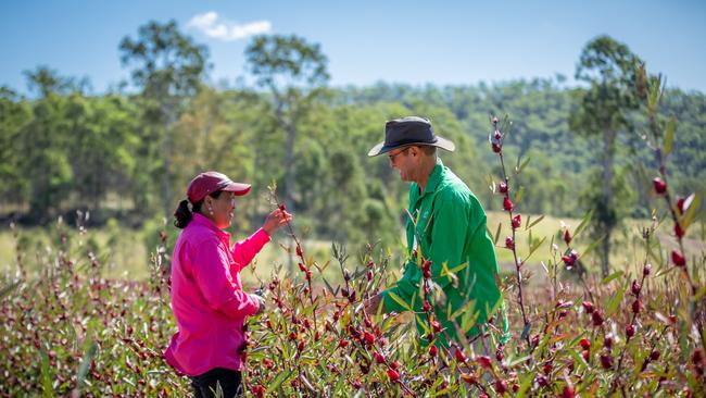 CC Diaz Petersen (left) and her husband, Greg Petersen (right) had setback after setback in 2022, but persevered through it all and are now gearing up for their seventh annual Rosella Field Day. Photo: Supplied