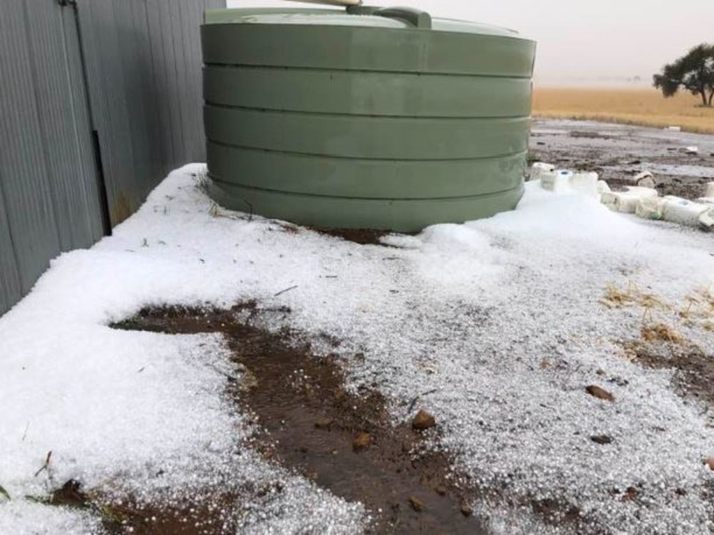 A hailstorm swept through Jandowae on the Western Downs this afternoon, destroying crops. Picture: Kathy Harris