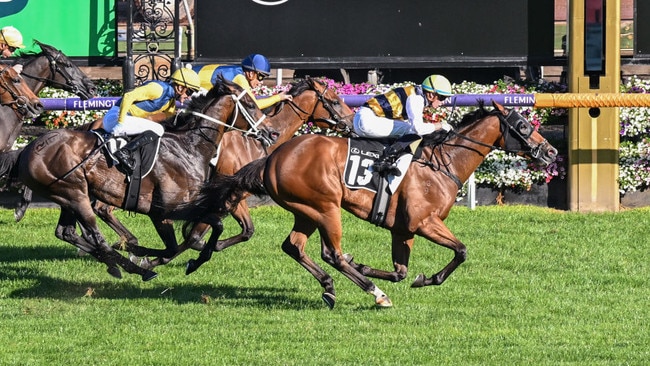 Mark Twain taking out the Listed Roy Higgins