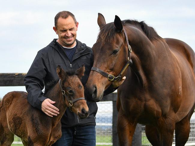 Chris Waller with WInx and filly