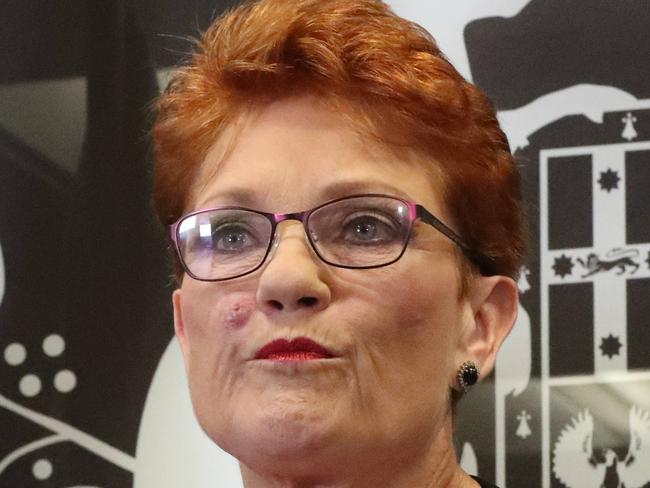 Senator Pauline Hanson holds a press conference with chief of staff James Ashby, Commonwealth Parliamentary Offices, Brisbane. Photographer: Liam Kidston