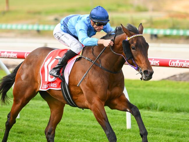 Basilinna will chase a start in the Group 1 Australian Oaks in a preparation that starts in the Group 3 Vanity at Flemington. Picture: Racing Photos via Getty Images.