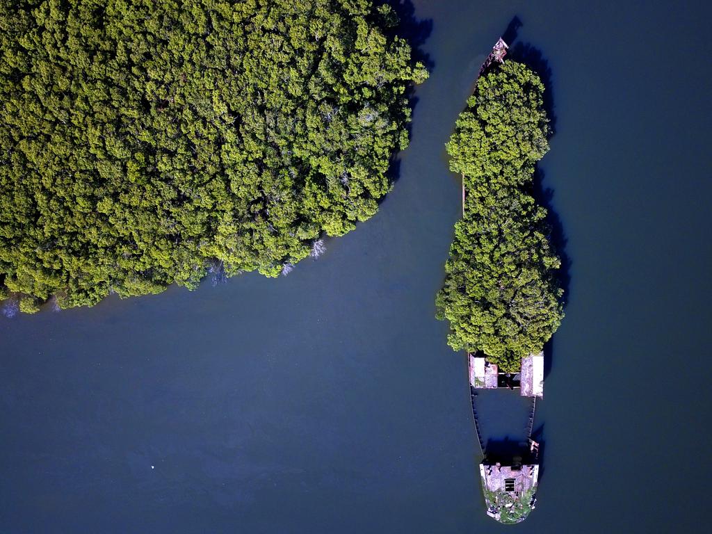 Shipwrecks in Homebush Bay. Picture: Toby Zerna