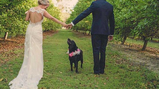 A DOG'S LIFE: Amy and Tristian Wright adopted Echo and decided to make her part of their recent wedding ceremony.