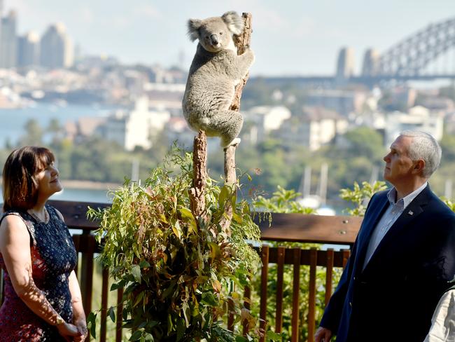 Mike Pence and his wife Karen look at a koala during a visit to Taronga Park Zoo on Sunday. Picture: Peter Parks-Pool/Getty Images