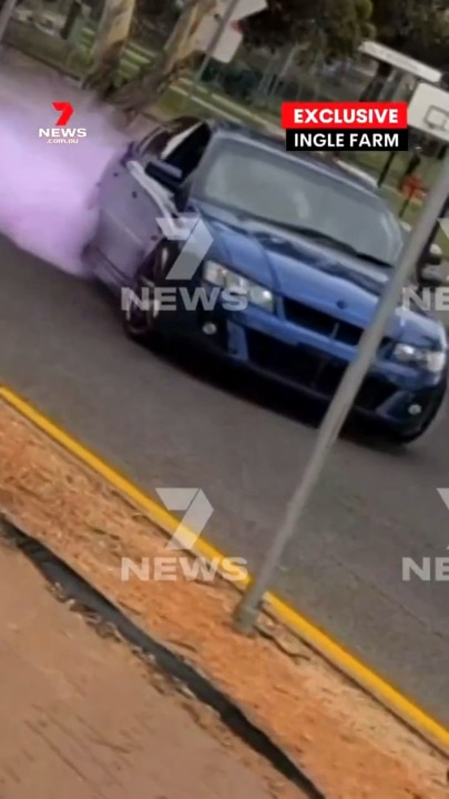 Police bust four after dangerous gender reveal (7NEWS)