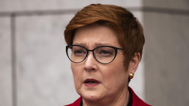 Minister for Foreign Affairs, Marise Payne. Picture: NCA NewsWire/Martin Ollman