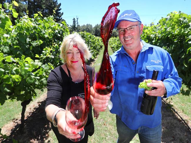 Leura Park says it is expecting a solid harvest season off the back of a strong summer for tourism. Lyndsay and David Sharp in their Leura Park Estate Vineyard. picture: Glenn Ferguson