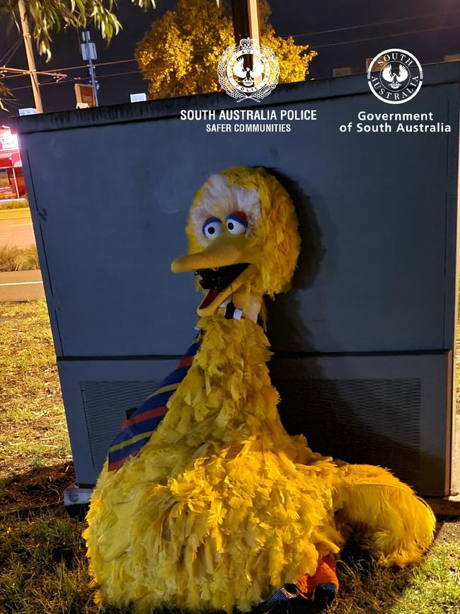 Supplied Editorial Big Bird costume returned to circus site. Picture: SA Police