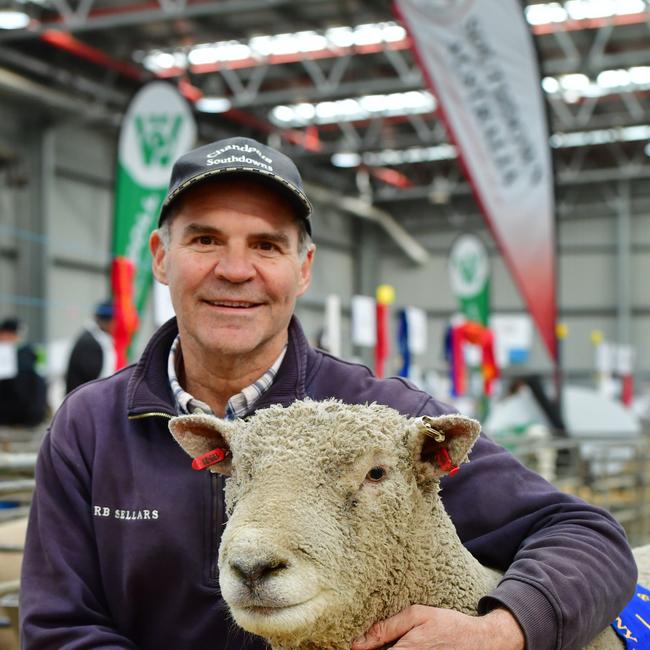 Chandpara Southdowns, champion Southdown ram with Andrew Sellars-Jones from Kyneton. Picture: Zoe Phillips