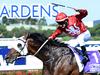 Stable watch: Inside mail for Randwick