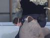 ‘Burn the c**t down’: Pool hall arson linked to Ironside plot