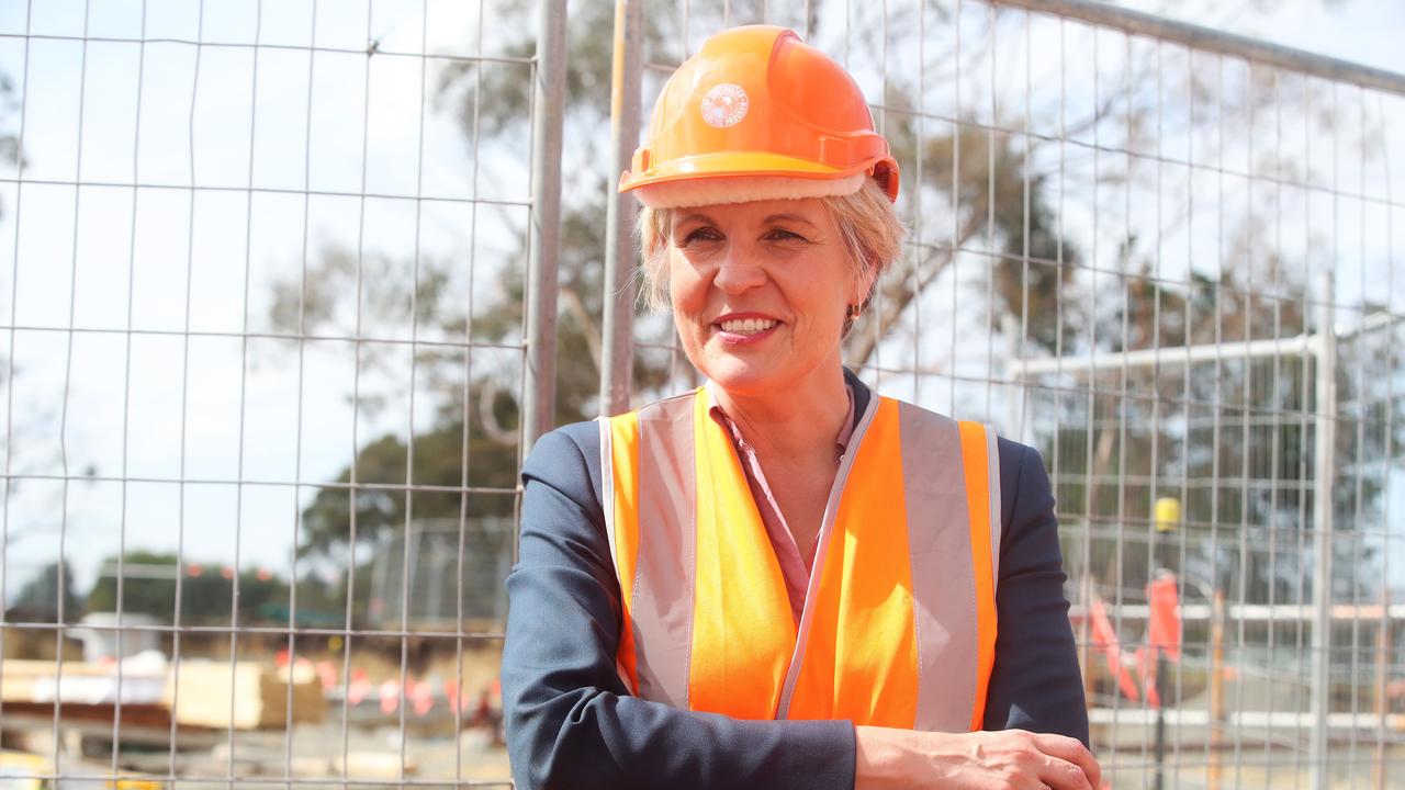 Pressure mounts on Plibersek to reverse goldmine ban