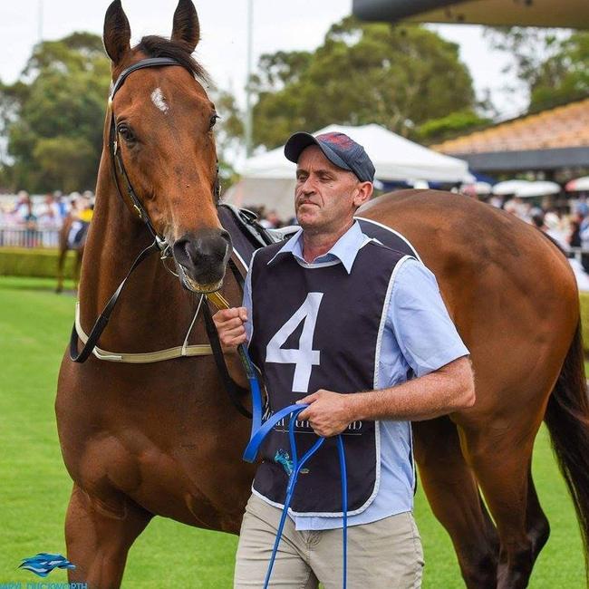 Strapper David Brown will work at the Golden Slipper this weekend