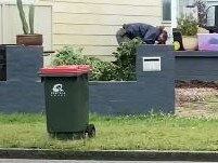 A man, 44, has been arrested after police searched a house at Delia Ave, Budgewoi, and found a hydroponic cannabis set up. Picture: supplied