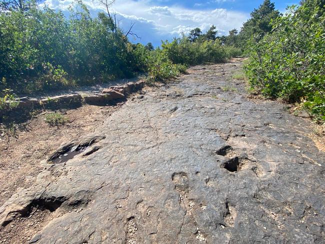 Dinosaur tracks fossilised on the ground on the edge overlooking Bull Canyon near Manti in the La-Sal National forest Utah side on July 14, 2020.The therapod dinosaur tracks date back to the Jurassic Period, 145-~200 million years ago, when the current area was a shallow coastal plain that was just above sea level. - Sixty-six million years ago, a huge celestial object struck off the coast of what is now Mexico, triggering a catastrophic cooling period that eventually wiped out three-quarters of life on Earth, including the dinosaurs. A pair of astronomers at Harvard say they have now resolved long standing mysteries surrounding the nature and origin of the "Chicxulub impactor."  Their analysis suggests it was a comet that originated in a region of icy debris on the edge of the solar system, that Jupiter was responsible for it crashing into our planet, and that we can expect similar impacts every 250 million to 750 million years. (Photo by Eric BARADAT / AFP)