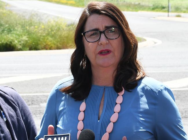 Roma Britnell at the 2018 election. Picture: James Ross