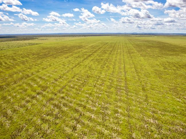 The Kimberley Cattle portfolio covers a whopping 2,906,483ha near Broome, Western Australia. Picture: LAWD