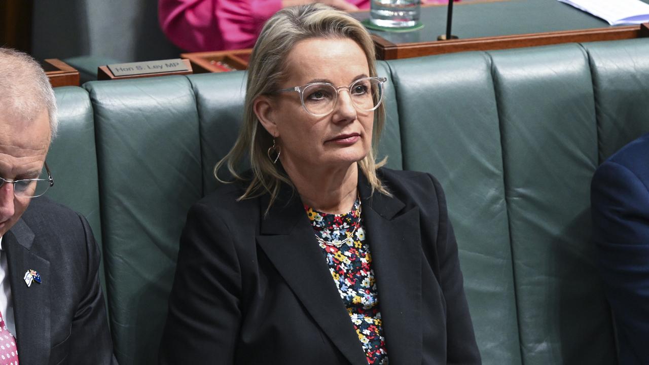 Deputy Leader of the Opposition Sussan Ley questioned the government on the court’s decision. decision. Picture: NCA NewsWire / Martin Ollman