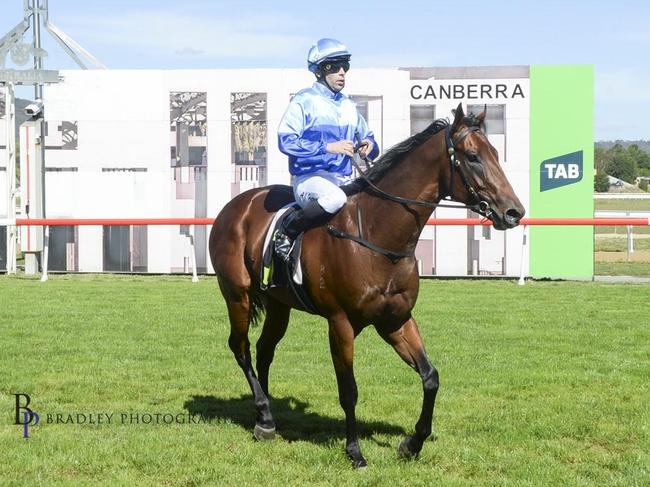 Thoroughbred racehorse Farcited is pictured winning the Black Opal Stakes Preview on debut. Picture: Bradley Photography