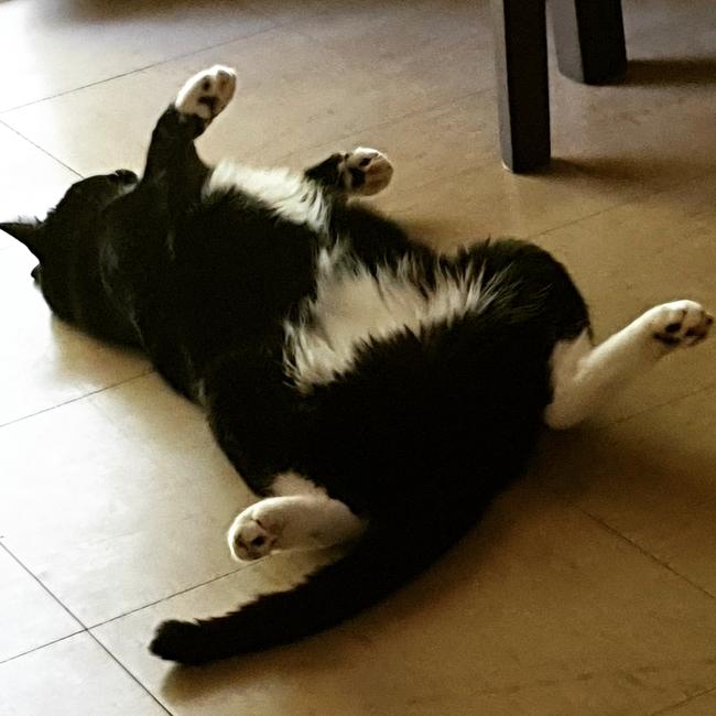 Phoebe is a back sleeper. Picture: Sarah Long