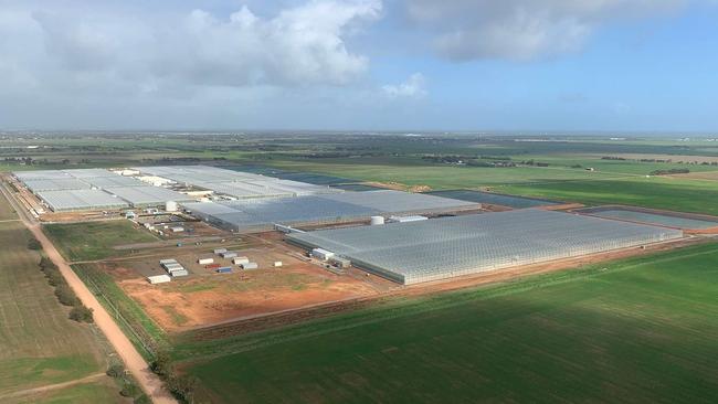 Perfection Fresh – one of Australia’s largest fruit and vegetable producer – has been quarantined by the state government. Picture: Perfection Fresh