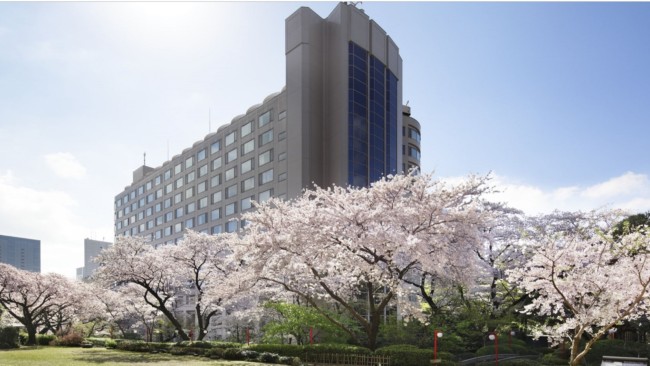 <p>To wake up with cherry blossoms from your bedroom window, stay at the Prince Sakura Tower Tokyo – even if it’s just for one night. Cherry blossoms are usually in full bloom from late March to early April in Tokyo. If you’re dining out or at a bar, ask if they have any specials with sakura. The Sakura-dipity made by Kentaro Wada at The Bar, Ritz Tokyo, is in my top five cocktails. </p>